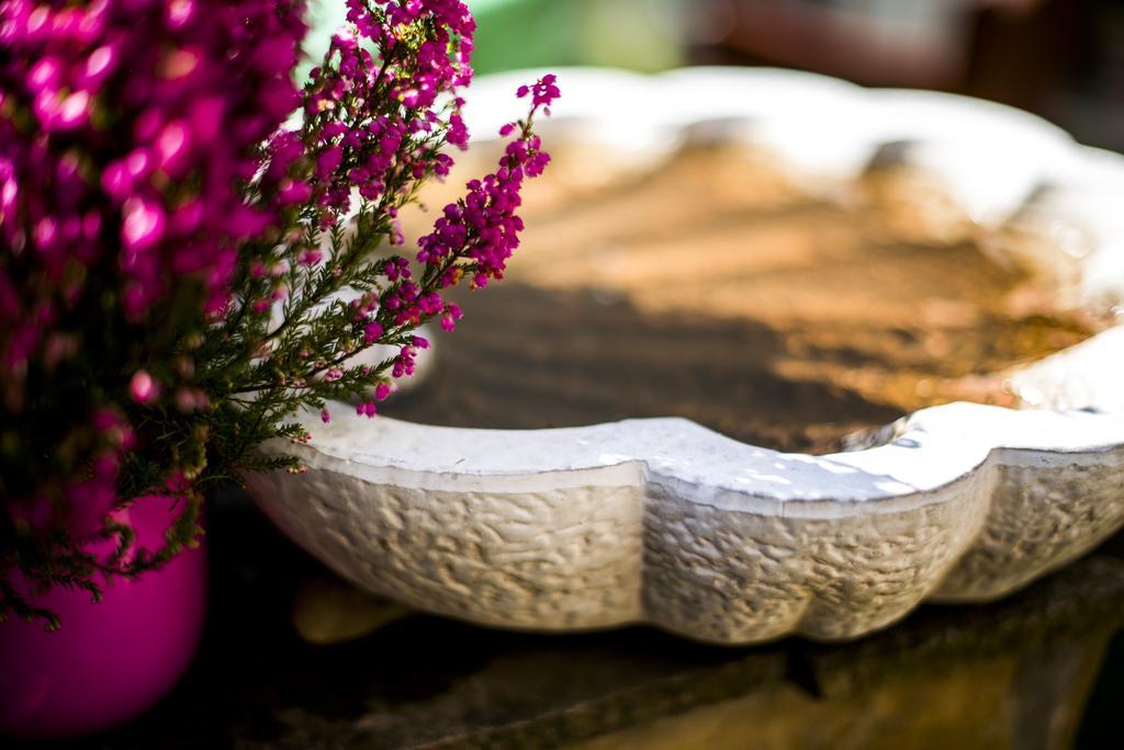 Feng Shui Wellness Apartmanhaz Héviz Zewnętrze zdjęcie