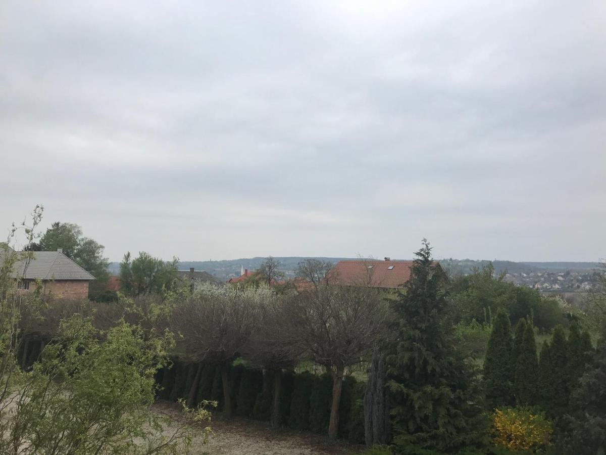 Feng Shui Wellness Apartmanhaz Héviz Zewnętrze zdjęcie
