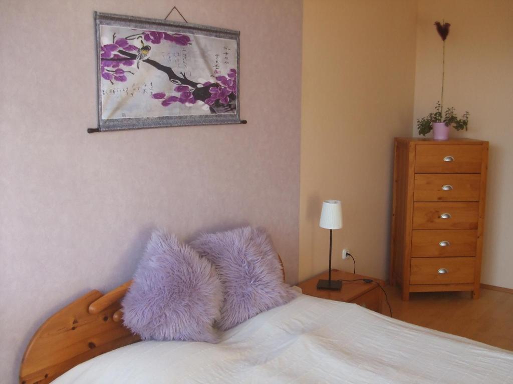 Feng Shui Wellness Apartmanhaz Héviz Zewnętrze zdjęcie