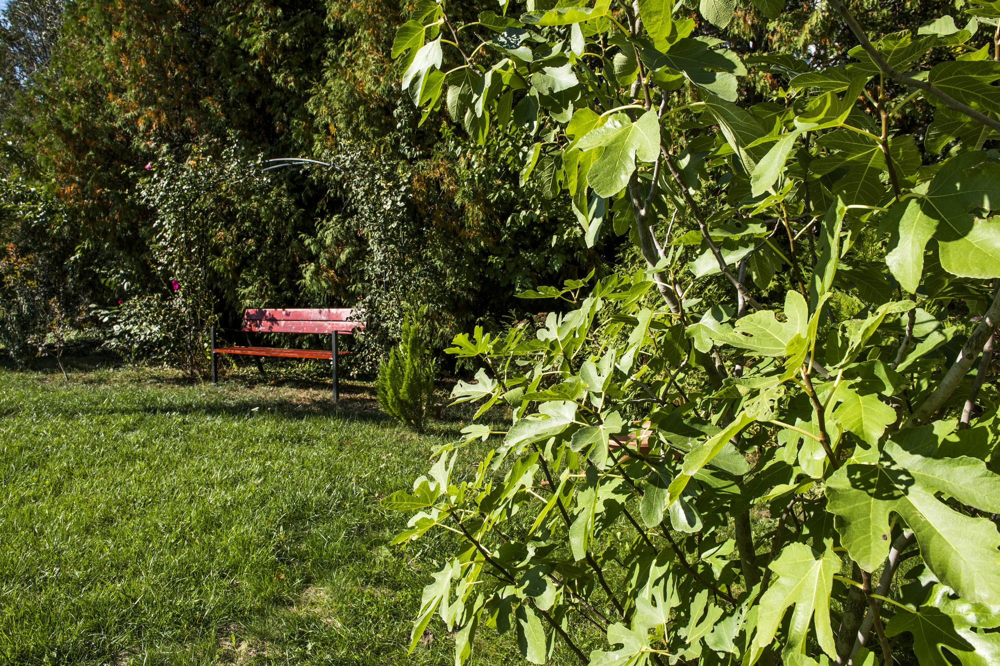 Feng Shui Wellness Apartmanhaz Héviz Zewnętrze zdjęcie