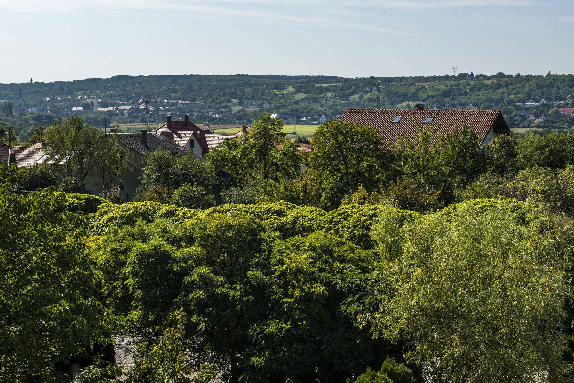 Feng Shui Wellness Apartmanhaz Héviz Zewnętrze zdjęcie