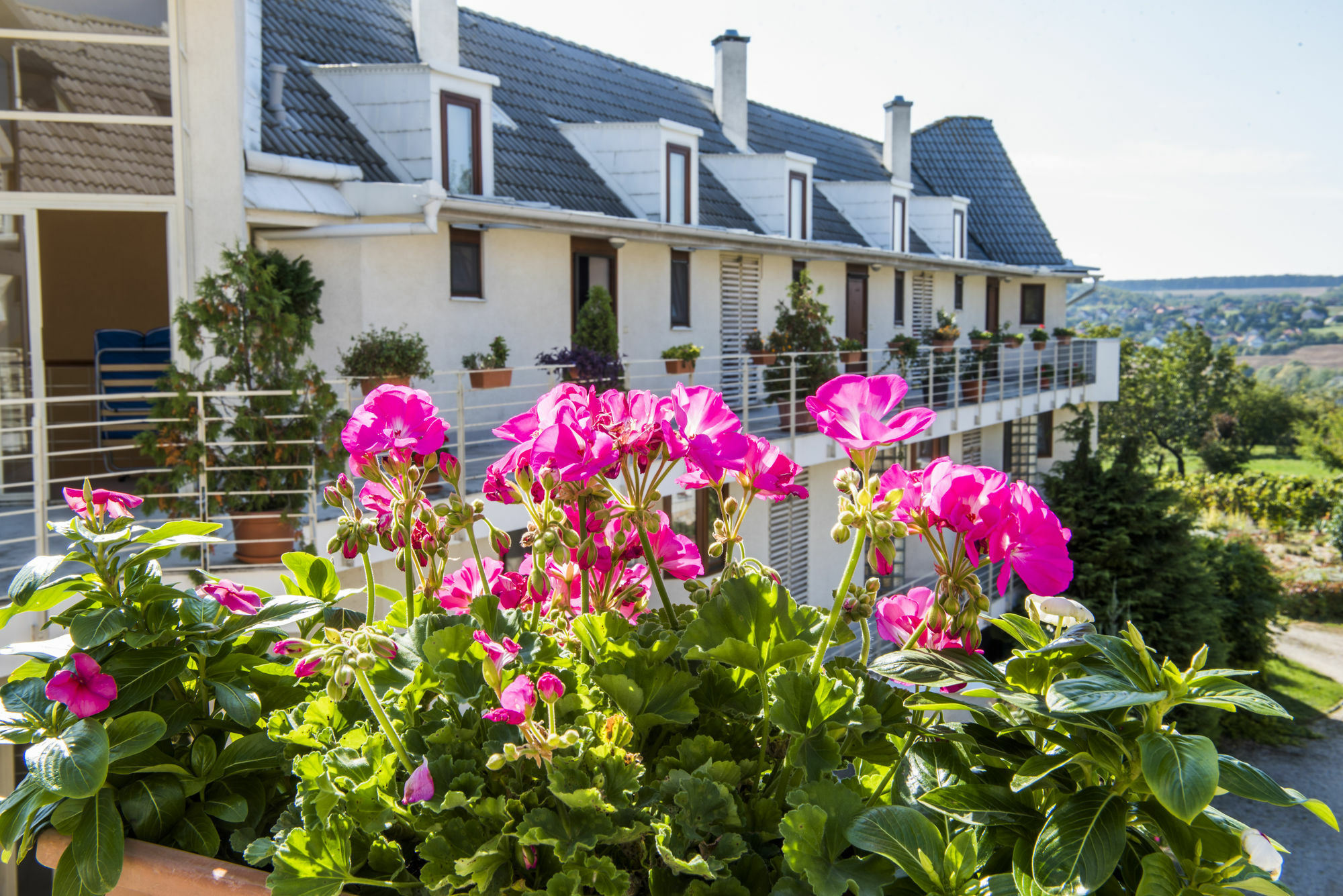 Feng Shui Wellness Apartmanhaz Héviz Zewnętrze zdjęcie
